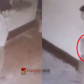 പയ്യന്നൂരിൽ ക്ഷേത്ര ഭണ്ഡാരം ഇളക്കിയെടുത്തു; പണം കവർന്ന ശേഷം വലിച്ചെറിഞ്ഞു, പ്രതിയുടെ സിസിടിവി ദൃശ്യങ്ങൾ പുറത്ത്