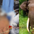 വീട്ടുമുറ്റത്ത് നിൽക്കുന്നതിനിടെ കാട്ടാന പാഞ്ഞടുത്തു; കണ്ണൂർ ആറളം ഫാമിൽ കാട്ടാന ആക്രമണത്തിൽ യുവാവ് കൊല്ലപ്പെട്ടു