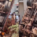 കണ്ണൂർ ഇരിക്കൂറിൽ നിയന്ത്രണം വിട്ട ചെങ്കൽ ലോറി പള്ളി കെട്ടിടത്തിലേക്ക് മറിഞ്ഞ് അപകടം; ഡ്രൈവറെ പുറത്തെടുത്തത് ഏറെ നേരത്തെ പരിശ്രമത്തിനൊടുവിൽ