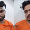 ചെനക്കത്തൂർ പൂരത്തിനിടെ സിപിഎം ബ്രാഞ്ച് ബ്രാഞ്ച് സെക്രട്ടറിയ്ക്ക് കുത്തേറ്റ സംഭവം; രണ്ട് ആർഎസ്എസ് പ്രവർത്തകർ പിടിയിൽ