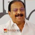 'അധികാര മോഹമില്ല, അണികളുടെ മോഹമാണിത്; സുധാകരനെ വെട്ടിയാല്‍ തിരഞ്ഞെടുപ്പിനെ മുഴുവൻ ബാധിക്കും'; കയ്യുംകെട്ടി നോക്കിനില്‍ക്കില്ലെന്ന് അനുകൂലികള്‍