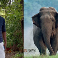 തൃശൂര് ചിമ്മിനിയിൽ കാട്ടാന ആക്രമണം; ഫോറസ്റ്റ് വാച്ചർ കൊല്ലപ്പെട്ടു