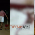എരുമപ്പെട്ടിയിൽ വയോധികയെ കടിച്ചുകൊന്ന നായയെ പിടികൂടി; പേവിഷബാധ ഉണ്ടോയെന്നറിയാൻ പരിശോധന