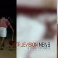 മരണകാരണം കഴുത്തിനേറ്റ ആഴത്തിലുള്ള കടി; വെള്ളറക്കാട് കിടപ്പ് രോഗിയായ വയോധികയെ നായ കടിച്ചു കൊന്ന സംഭവം; പോസ്റ്റ്മോർട്ട റിപ്പോർട്ട് പുറത്ത്