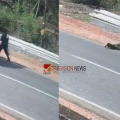 പാലക്കാട് ലോറിയിടിച്ച് ഭിന്നശേഷിക്കാരന് പരിക്ക്; ഇടിച്ചിട്ട ശേഷം ലോറി നിർത്താതെ പോയി