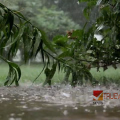 യുഎഇയിൽ വീണ്ടും മഴ; വിവിധ എമിറേറ്റുകളിൽ ജാഗ്രതാ നിർദ്ദേശം
