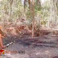 തീപ്പിടിത്തം; നരിപ്പറ്റയിൽ പറമ്പിന് തീപിടിച്ചു, ഫയർഫോഴ്സ് എത്തി വൻ ദുരന്തം ഒഴിവാക്കി