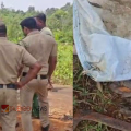 പുത്തൻകുളത്ത് പുല്ലു മുറിക്കാനെത്തിയ ആൾ കണ്ടത് രണ്ടാഴ്ച പഴക്കമുള്ള മൃതദേഹം; പൊലീസ് അന്വേഷണം ഊർജ്ജിതമാക്കി