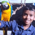  തൃശൂരിൽ എട്ട് വയസുകാരൻ പാമ്പ് കടിയേറ്റ് മരിച്ചു, സഹോദരൻ ഗുരുതരാവസ്ഥയിൽ