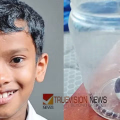 ആല്‍ജോയ്ക്ക് പാമ്പുകടിയേറ്റത് ചുണ്ടില്‍; വയറുവേദന വന്നപ്പോള്‍ ഭക്ഷണത്തിന്‍റെ പ്രശ്നമെന്ന് കരുതി, സഹോദരൻ ഗുരുതരാവസ്ഥയിൽ