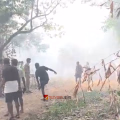 തൃശ്ശൂർ പൂരത്തിനുള്ള വെടിക്കെട്ടുസാമഗ്രികൾ നിർമിക്കുന്നിടത്ത് സ്ഫോടനം; മൂന്ന് മരണം, 40 ഓളംപേർക്ക് പരിക്ക്