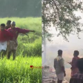 തൃശൂര് വെടിക്കെട്ട് പുരയിലെ സ്ഫോടനം; എട്ട് പേരുടെ നില ഗുരുതരം, പരിക്കേറ്റവര്ക്ക് വിദഗ്ധ ചികിത്സ ഉറപ്പാക്കാന് നിര്ദ്ദേശം നല്കി ആരോഗ്യമന്ത്രി
