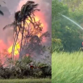 തൃശൂര് മുണ്ടത്തിക്കോട് വെടിക്കെട്ട്: മരണം ആറായി, മന്ത്രിമാരായ കെ രാജനും വിഎന് വാസവനും സംഭവ സ്ഥലത്തേക്ക് തിരിച്ചു