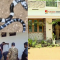 പാമ്പുകടിയേറ്റ് 8 വയസ്സുകാരൻ മരിച്ച സംഭവം; ഉറവിടം കണ്ടെത്താൻ വീടിന്റെ തറ പൊളിച്ചുനീക്കി പരിശോധന