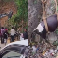 കുറ്റ്യാടി ചുരത്തിൽ ലോറി നിയന്ത്രണം വിട്ട് വാഹനങ്ങളിൽ ഇടിച്ചു; പിക്കപ്പ് വാൻ താഴ്ചയിലേക്ക് മറിഞ്ഞു, ഏഴ് പേർക്ക് പരിക്ക്