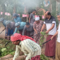 മഴക്കാലപൂർവ്വ രോഗപ്രതിരോധം: കുന്നുമ്മലിൽ ശുചീകരണ യജ്ഞം സംഘടിപ്പിച്ചു