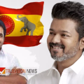 കോൺഗ്രസ് കൈകൊടുക്കുമോ? പിന്തുണ തേടി വിജയ്; തീരുമാനം തമിഴ്നാട് കെപിസിസിക്ക് വിട്ടെന്ന് കെസി വേണുഗോപാൽ