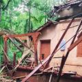 ആഞ്ഞടിച്ച് കാറ്റും മഴയും; കുറ്റ്യാടിയിൽ മലയോരമേഖലയിൽ വ്യാപക നാശനഷ്ടം, തെങ്ങ് വീണ് വീട് തകർന്നു