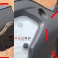 നാദാപുരത്ത് യുവാവിന്റെ അത്ഭുദരക്ഷ; സ്കൂട്ടറിനുള്ളിൽ കിടന്ന പാമ്പുമായി യാത്ര ചെയ്തത് കിലോമീറ്ററുകളോളം