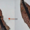 ശക്തമായ കാറ്റും ഇടിമിന്നലും: കോഴിക്കോട് കാവിലുംപാറയിൽ വീടിന്റെ ചുമർ വിണ്ടുകീറി 