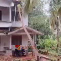 വടകരയിൽ മിന്നൽ ചുഴലിയിൽ; വീടുകൾക്ക് മുകളിൽ മരങ്ങൾ കടപുഴകി വീണു, ഇലക്ട്രിക് പോസ്റ്റുകളും തകർന്നു
