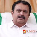 'പാണക്കാട് തലയിൽ മുണ്ടിട്ട് പോയ വിദ്വാന്മാരാണ് ഇപ്പോൾ തങ്ങളെ കുറ്റം പറയാൻ നിൽക്കുന്നത്, യുഡിഎഫിൽ എല്ലാവരും ഒറ്റക്കെട്ടാണ്' - കെ മുരളീധരൻ