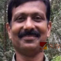 മാങ്ങ പറിക്കുമ്പോൾ ഇരുമ്പുതോട്ടി വൈദ്യുതിലൈനിൽ തട്ടി; കോഴിക്കോട് സ്വദേശിയായ യുവാവ് ഷോക്കേറ്റു മരിച്ചു