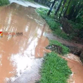 കൈകോർത്ത് നാട്; കുണ്ടും കുഴിയും നിറഞ്ഞ റോഡ് ഒറ്റക്കെട്ടായി നന്നാക്കി കുന്നുമ്മലിലെ നാട്ടുകാർ