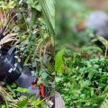 ആളൊഴിഞ്ഞ വഴിയിൽ ബൈക്ക് താഴ്ചയിലേക്ക് മറിഞ്ഞ് അപകടം; മണിക്കൂറുകളോളം ആരുമറിഞ്ഞില്ല, കോഴിക്കോട് യുവാവിന് ദാരുണാന്ത്യം