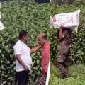 ദുരിതാശ്വാസ ടാർപോളിനുകൾ വരെ പൂഴ്ത്തി! ചാക്കിലും ട്രോളി ബാഗിലുമായി  2.24 കോടി രൂപയോളം ഒളിപ്പിച്ചു,  ടിഎംസി നേതാവ് അറസ്റ്റിൽ 