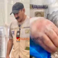 കുവൈത്തിൽ ഭക്ഷ്യസുരക്ഷാ പരിശോധന ശക്തം; ഇറച്ചിക്കടയിൽ നിന്ന് 130 കിലോ പഴകിയ മാംസം പിടിച്ചെടുത്തു