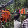 കോഴിക്കോട് ചുരം വഴിയുള്ള യാത്രക്കാര്‍ ശ്രദ്ധിക്കുക; ചുരത്തിൽ മരങ്ങള്‍ കടപുഴകി വീണ് ഗതാഗത തടസം 