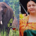 കാട്ടാനയുടെ ആക്രമണം; മുതിർന്ന ഐപിഎസ് ഉദ്യോഗസ്ഥൻ്റെ ഭാര്യയ്ക്ക് ദാരുണാന്ത്യം