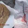 മധ്യപ്രദേശിൽ ഗർഭിണിക്ക് നൽകിയ പോഷകാഹാര പാക്കറ്റിൽ പാമ്പിൻകുഞ്ഞ്; അധികൃതർക്കെതിരെ നാട്ടുകാരുടെ പ്രതിഷേധം