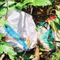 സാമൂഹ്യവിരുദ്ധരെക്കൊണ്ട് പൊറുതിമുട്ടി; കുറ്റ്യാടി കപ്പാപാലത്തിൽ തോട്ടിലേക്ക് അറവുശാലാ മാലിന്യം തള്ളിയതായി പരാതി