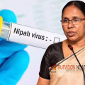 'നിപയും കോവിഡ് ഒക്കെ സർക്കാർ നോക്കിയല്ല വരുന്നത്, രോഗബാധയിൽ വല്ലാതെ ഭയപ്പെടേണ്ട കാര്യമില്ല' - കെ കെ ശൈലജ
