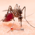 ജാഗ്രത...: കോഴിക്കോട് ചുമട്ടുതൊഴിലാളിക്ക് മലേറിയ സ്ഥിരീകരിച്ചു