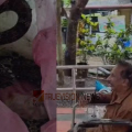 പാമ്പേ കടിച്ചിട്ട് മുങ്ങാമെന്ന് കരുതിയോ... വാഴക്കുല വെട്ടുന്നതിനിടെ പാമ്പ് കടിയേറ്റു; കടിച്ച പാമ്പുമായി ആശുപത്രിയിലെത്തി വയോധികൻ
