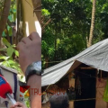 സുധയുടെ മൃതദേഹം ആദ്യം കണ്ടത് തൊഴിലുറപ്പ് തൊഴിലാളികൾ; കുട്ടിക്കൃഷ്ണനും ഭാര്യയും തമ്മിൽ വഴക്ക് പതിവെന്ന് അയൽവാസികൾ