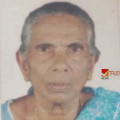 നെല്ലിയുള്ള പറമ്പത്ത് പാറു അന്തരിച്ചു