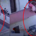 ബാല്ക്കണിയില് നിന്ന് ഐസ്ക്രീം വാങ്ങാന് ശ്രമം; വീടിന്റെ ഒന്നാം നിലയില്നിന്ന് വീണ് മധ്യവയസ്കന് പരിക്ക്