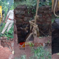 അലറിക്കരച്ചിൽ കേട്ട് നാട്ടുകാർ ഓടിയെത്തി....: നാദാപുരത്ത്  ഉപയോഗശൂന്യമായ സെപ്റ്റിക് ടാങ്കിൽ വീണ പശുവിനെ അഗ്നിരക്ഷസേന രക്ഷപ്പെടുത്തി