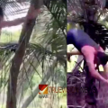 ഡാൻസിന് പിന്നാലെ വൻ ദുരന്തം; റിസോർട്ടിൽ നീന്തൽക്കുളത്തിലേക്ക് തലകുത്തി ചാടി, 25-കാരന് ദാരുണാന്ത്യം