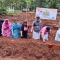 ഓണത്തിനൊരുക്കാം വിളവിൻ്റെ വിസ്മയം; വാണിമേൽ ഗ്രാമപഞ്ചായത്തിൽ ഓണക്കാല പച്ചക്കറി കൃഷിക്ക് തുടക്കമായി