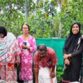 ഓണത്തിന് വിഷരഹിത പച്ചക്കറി; എടച്ചേരിയിൽ 'വിളവിന്റെ വിസ്മയം' പദ്ധതിക്ക് തുടക്കം