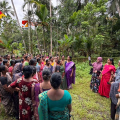 കായക്കൊടി ഗ്രാമപഞ്ചായത്തിൽ ഞാറ്റുവേല കൃഷിക്ക് തുടക്കമായി