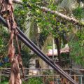 വൈദ്യുതി തടസ്സം നീങ്ങി; എടച്ചേരിയിൽ 22 വീടുകളിൽ വൈദ്യുതി മുടങ്ങിയത് ദിവസങ്ങളോളം, നീണ്ട പരിശ്രമത്തിനൊടുവിൽ പുനഃസ്ഥാപിച്ചു 