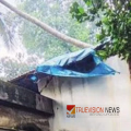 നാദാപുരത്ത് മഴയിൽ തെങ്ങ് വീടിന് മുകളിലേക്ക് വീണു, അത്ഭുതകരമായി രക്ഷപ്പെട്ട് വീട്ടുകാർ