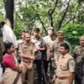 ചെങ്ങളായി കുളത്തൂരിൽ റബ്ബർ തോട്ടത്തിൽ പുലിയെ കണ്ടതായി നാട്ടുകാരൻ, വനം വകുപ്പ് ഉദ്യോഗസ്ഥർ സ്ഥലത്തെത്തി