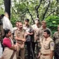 ചെങ്ങളായി കുളത്തൂരിൽ റബ്ബർ തോട്ടത്തിൽ പുലിയെ കണ്ടു; വനം വകുപ്പ് തിരച്ചിൽ തുടരുന്നു